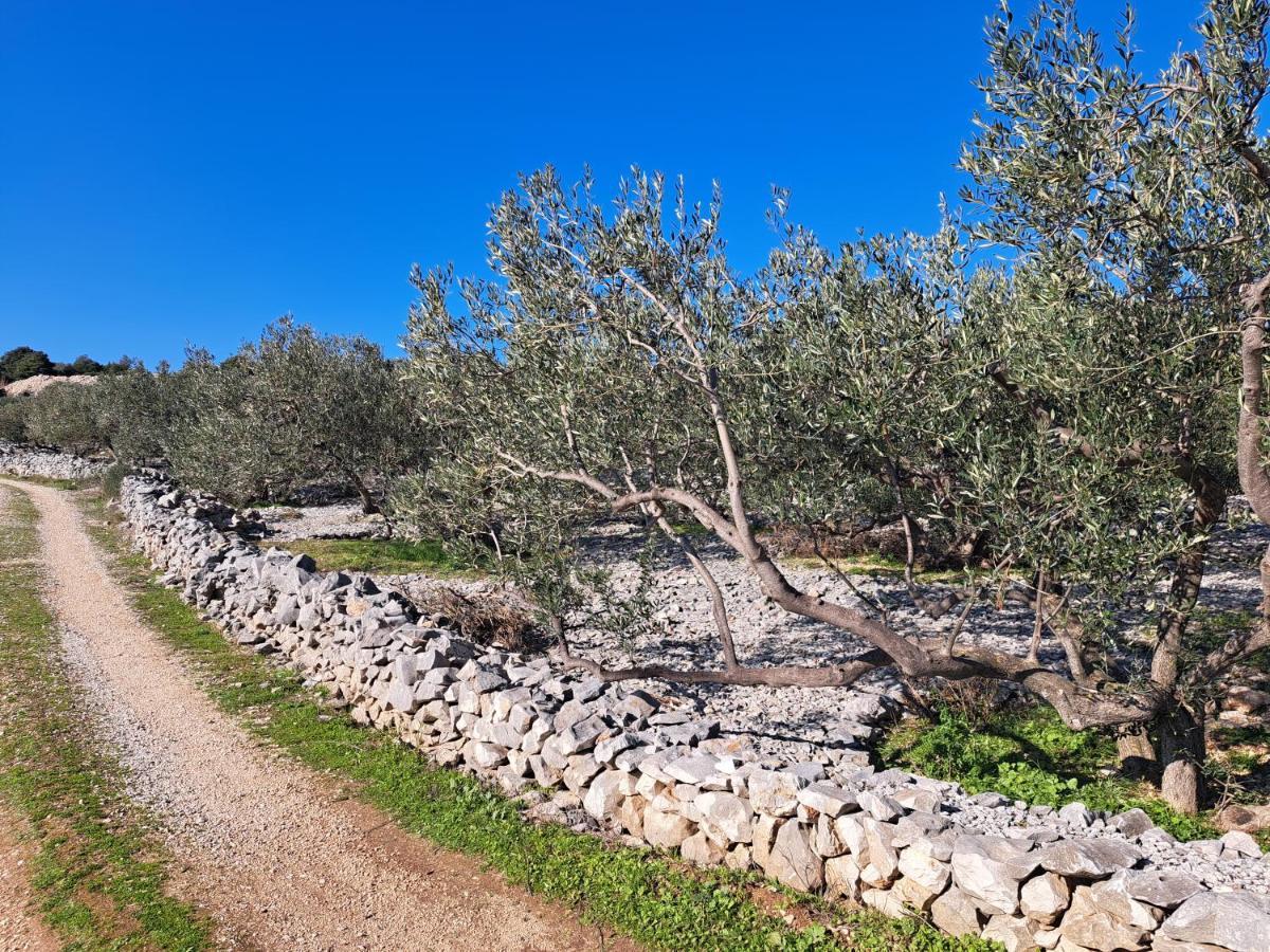 Čiovo Studio Apartman I&R מראה חיצוני תמונה